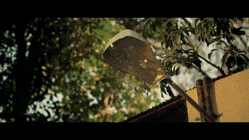 swetakaushal  GIF