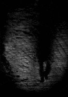 200.gif?cid=fc005b08d8a8fa7f73ea46e134bdc7b82728826e436735e0&rid=200.gif&ct=g