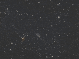 Astronaut Looking GIF by WALKING BRANDS