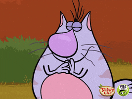 suspicious nature cat GIF by PBS KIDS