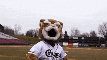 baseball error GIF by Kane County Cougars