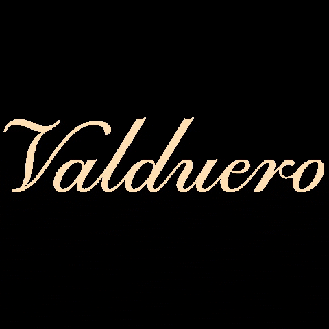 Bodegas Valduero GIF