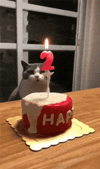 New trending GIF tagged birthday happy birthday via… | Trending Gifs