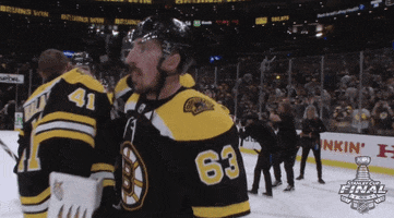 2019 stanley cup finals hug GIF by NHL