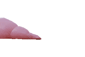 Cruasanrosa Hinchables Sticker by El Palmeral