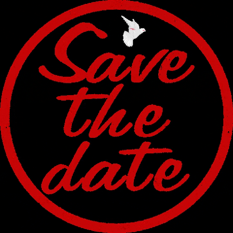 Poboycorps Networks GIF