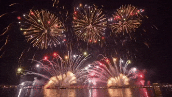 Wilshire Financial Group GIF