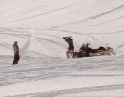 Snowboard Love GIF by Forum Snow