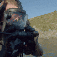 Diver Amazed at Speed of Great White Shark