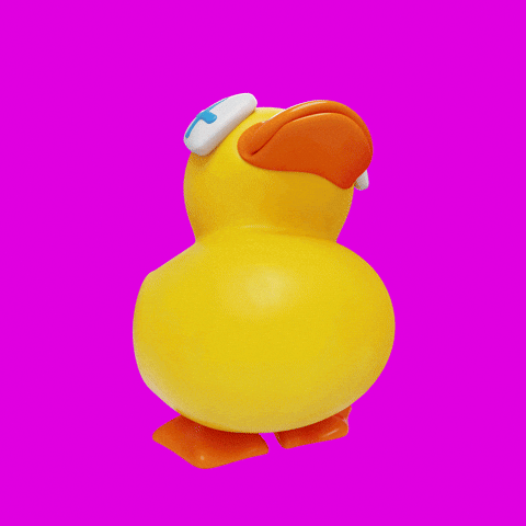 Duck Knocking GIF