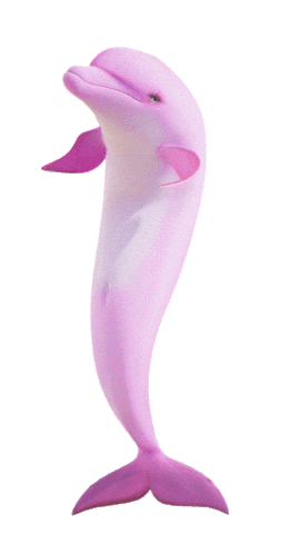 Source: Mad Decent Source: Mad Decent