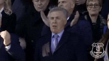 Premier League Reaction GIF by Everton Football Club
