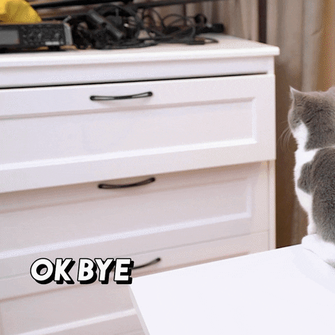 To Be Continued Oops GIF by Wengie