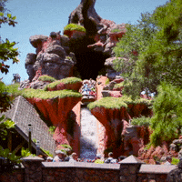 theme park disney GIF by visitorlando
