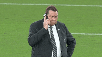 Ringing World Cup GIF by World Rugby