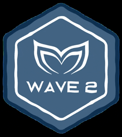 Wave2 GIF by Molchanovs