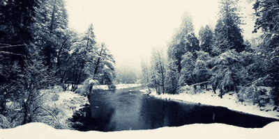 Video gif. Snow falls onto a snowy river scene, evergreen trees lining river’s edge.