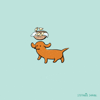 Wiener Dog Cooking GIF by Stefanie Shank