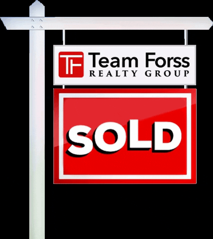 Team Forss GIF
