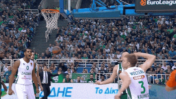 and 1 yes GIF by EuroLeague