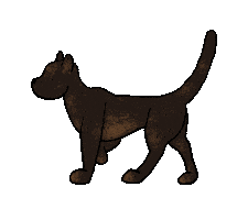 Cat Sticker