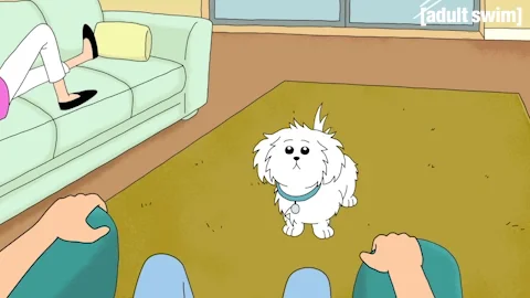 Season 1 Dog GIF by Rick and Morty