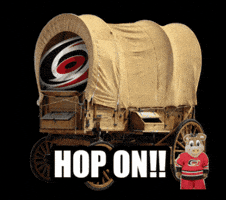 Carolina Hurricanes Nhl GIF