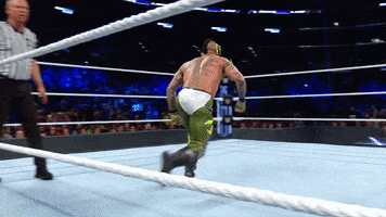 Randy Orton Pain GIF by WWE