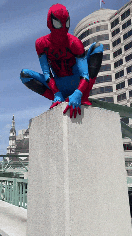 Spiderman Spidey GIF