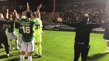 Allez Celebrate GIF by Yeovil Town FC