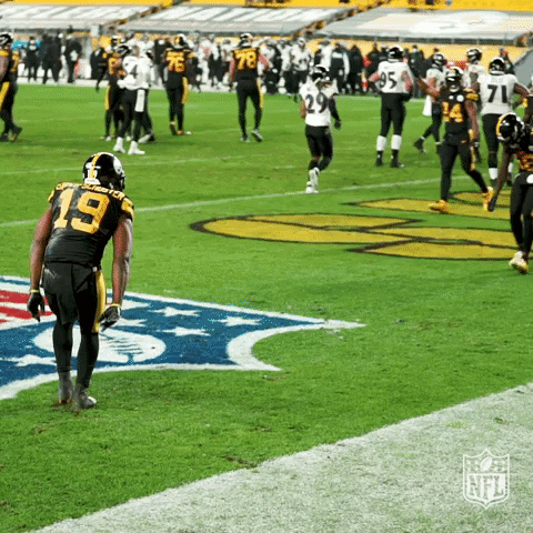 Happy Pittsburgh Steelers GIF by NFL