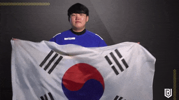 South Korea Flag GIF by Boston Uprising