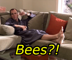 Arrested Development Heavenly Fathers GIFs - Get the best GIF on GIPHY