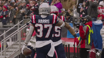 High Five Damien Harris GIF by New England Patriots