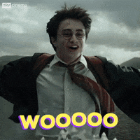 Excited Harry Potter GIF by Sky