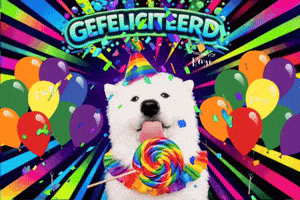 Congrats Benji GIF