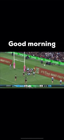 Good Morning GIF