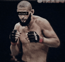 Ufc Islam GIF