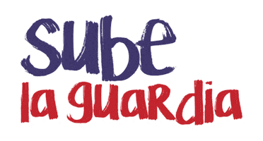 Sport Boxing Mx Sticker