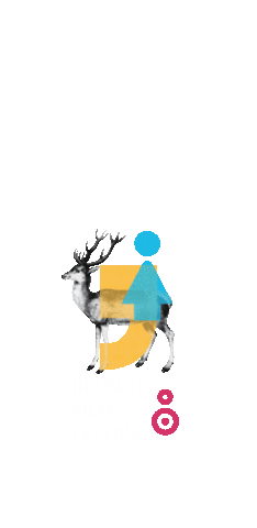 Sticker by Belfast Film Festival