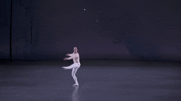 dancer diamonds GIF by New York City Ballet