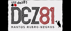usedez81 flamengo libertadores zico crf GIF