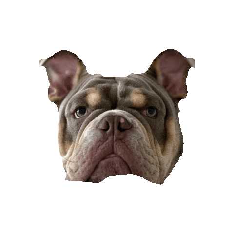 Kobito Sticker by The Only Agency