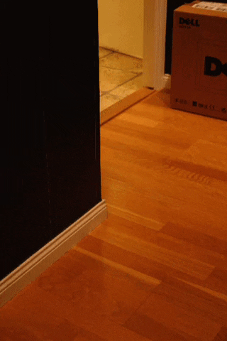 Beer GIF