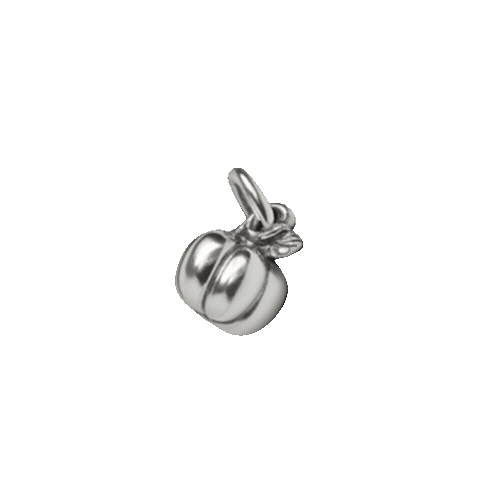 Pumpkin Charm Sticker by Shop Dixi