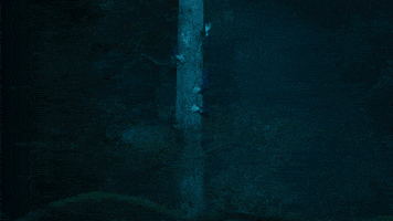 Halle Berry GIF by Lionsgate