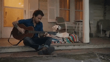 antirecords music dog guitar musicvideo GIF