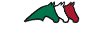 Horse Jumping Sticker by EQUILINE OFFICIAL