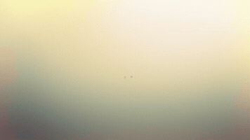 Safex GIF