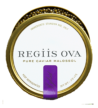 Regiis Ova Sticker